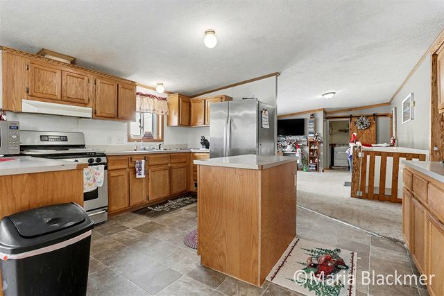 1451 W Charles Road, Ionia, MI 48846