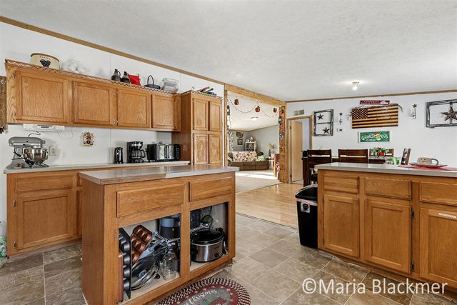 1451 W Charles Road, Ionia, MI 48846