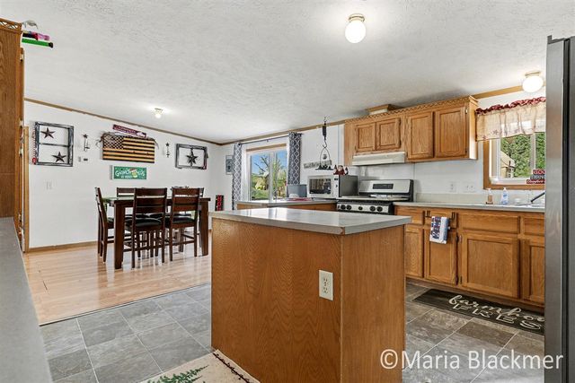 1451 W Charles Road, Ionia, MI 48846