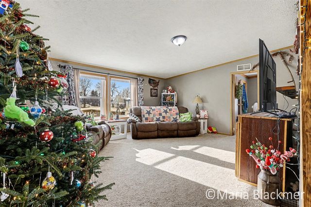 1451 W Charles Road, Ionia, MI 48846