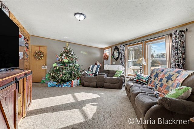 1451 W Charles Road, Ionia, MI 48846