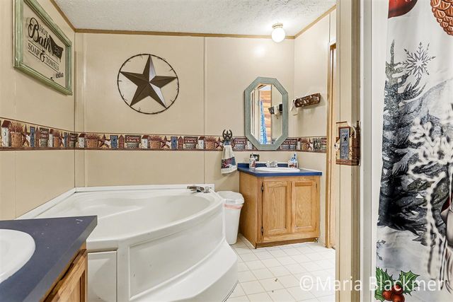 1451 W Charles Road, Ionia, MI 48846