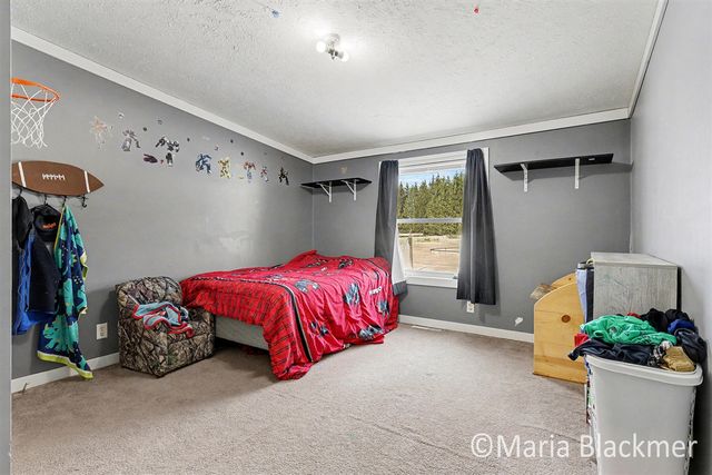 1451 W Charles Road, Ionia, MI 48846