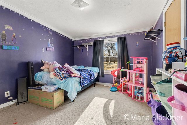 1451 W Charles Road, Ionia, MI 48846