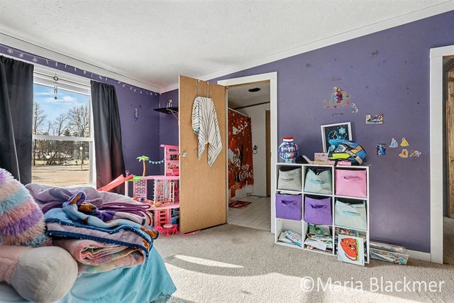 1451 W Charles Road, Ionia, MI 48846