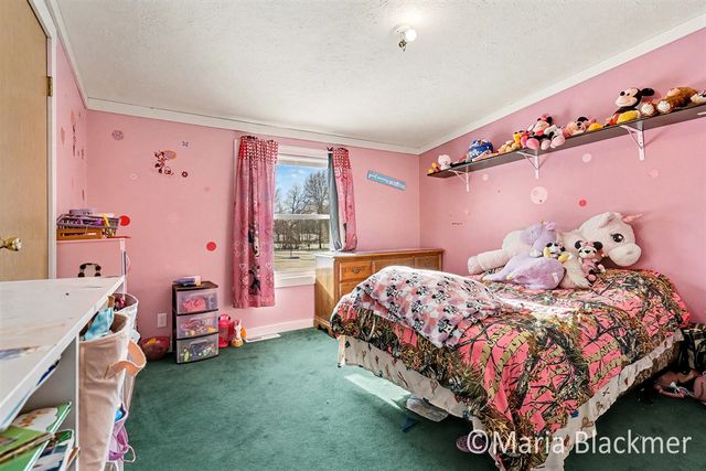 1451 W Charles Road, Ionia, MI 48846