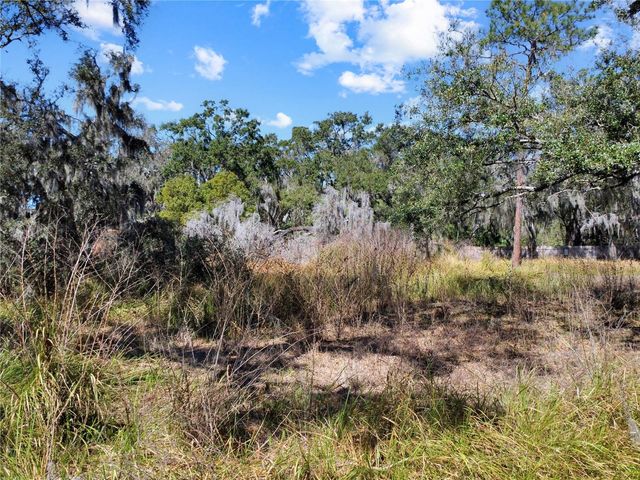 12111 FRED DRIVE, Riverview, FL 33578