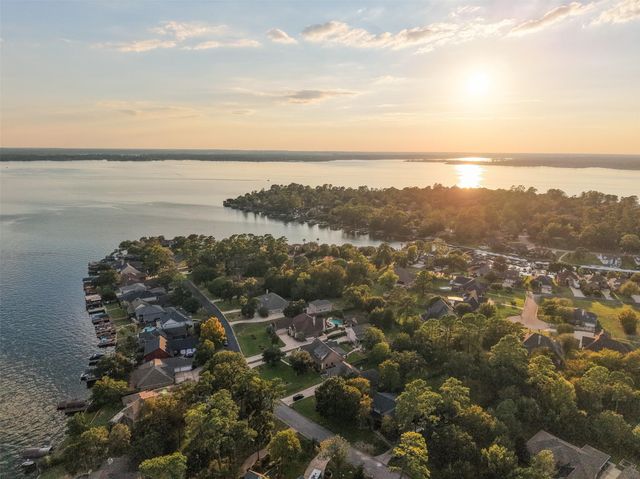 12195 N Lake Vista Drive, Willis, TX 77318