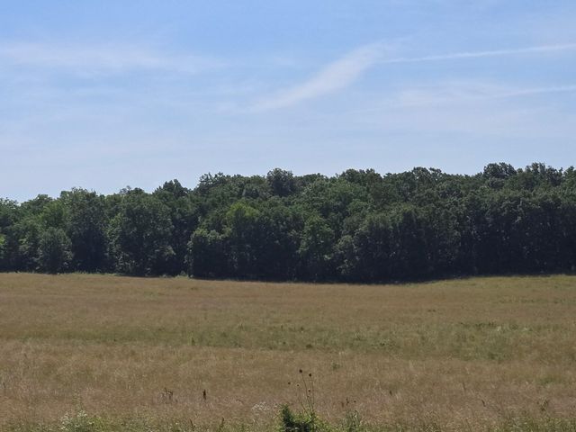 000 Spring Grove Road, Elkland, MO 65644