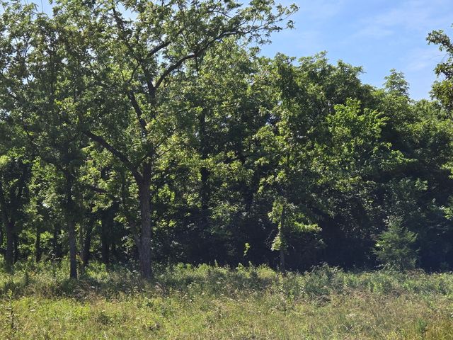 000 Spring Grove Road, Elkland, MO 65644
