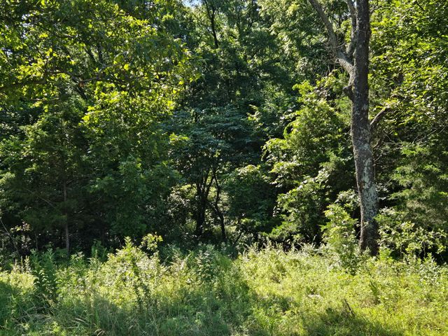 000 Spring Grove Road, Elkland, MO 65644