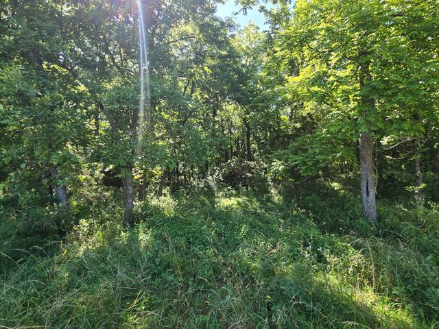 000 Spring Grove Road, Elkland, MO 65644