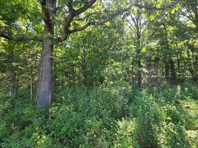 000 Spring Grove Road, Elkland, MO 65644
