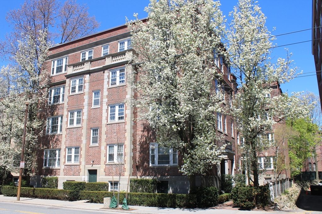 31 Concord Ave 11, Cambridge, MA 02138