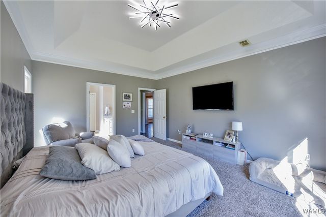 13525 13525 Vineyard Way, Northport, AL 35475