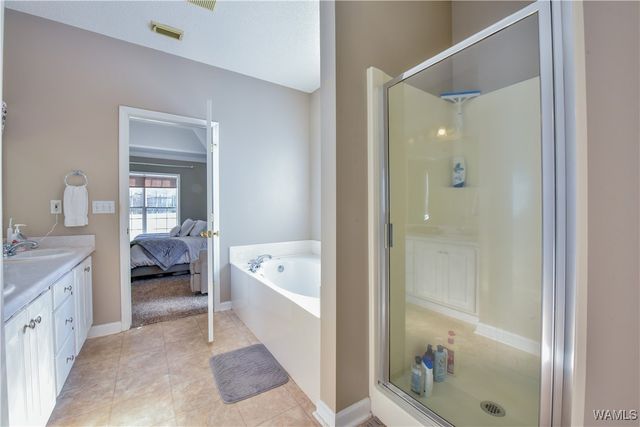 13525 13525 Vineyard Way, Northport, AL 35475