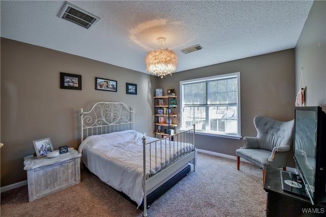 13525 13525 Vineyard Way, Northport, AL 35475