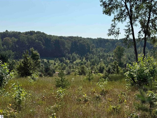 Parcel A3 E Kasson Road, Maple City, MI 49664