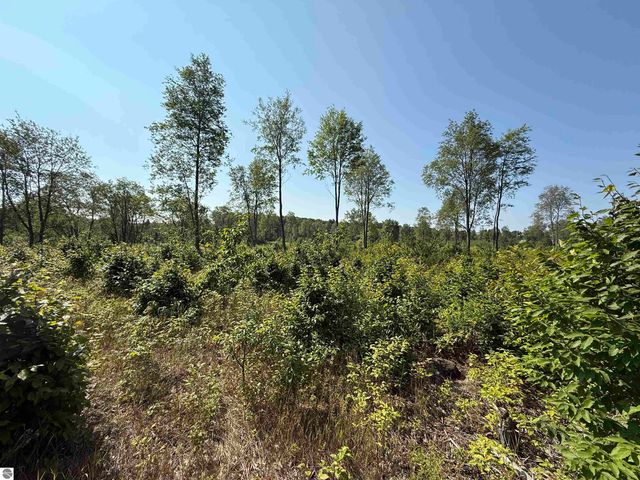 Parcel A3 E Kasson Road, Maple City, MI 49664