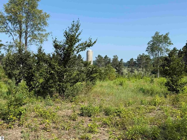 Parcel A3 E Kasson Road, Maple City, MI 49664