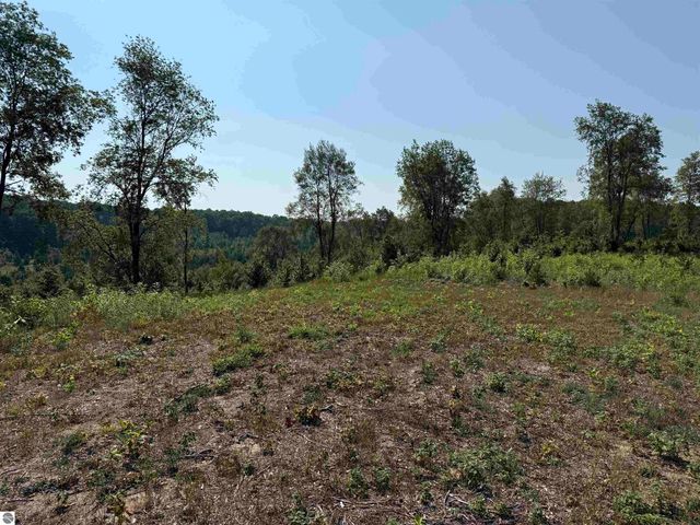 Parcel A3 E Kasson Road, Maple City, MI 49664