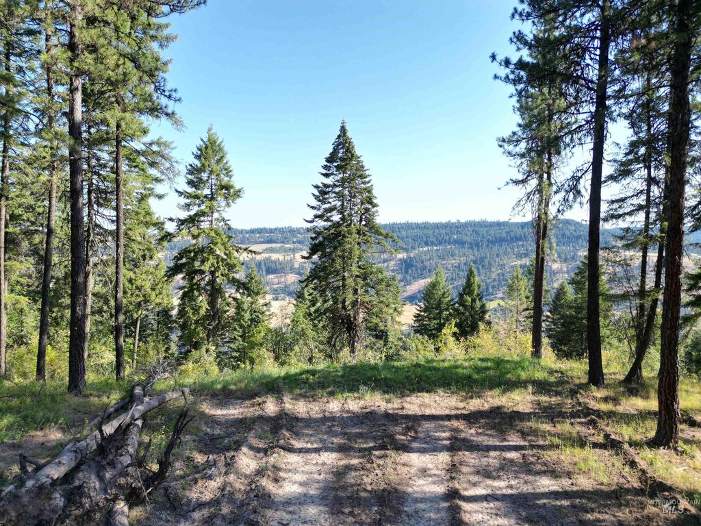 750 Mountain Top Drive, Orofino, ID 83544