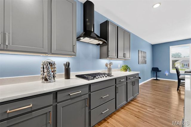 6803 Preservation Parkway, Affton, MO 63123