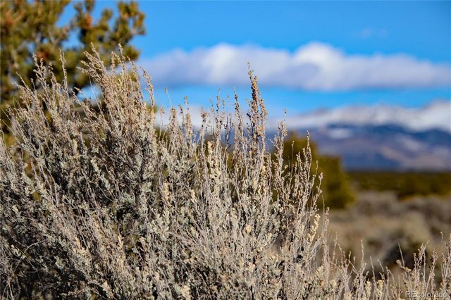 Parcel 40 Alta Mesa Drive, San Luis, CO 81152