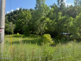 0 London Way, Parrottsville, TN 37843