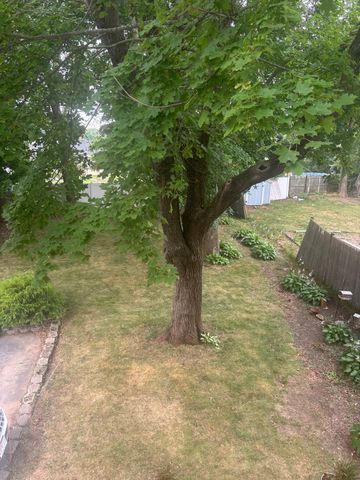 353 Hancock St 2, Braintree, MA 02184