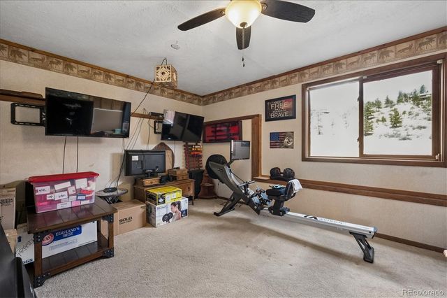 175 Blackbird Drive, Bailey, CO 80421