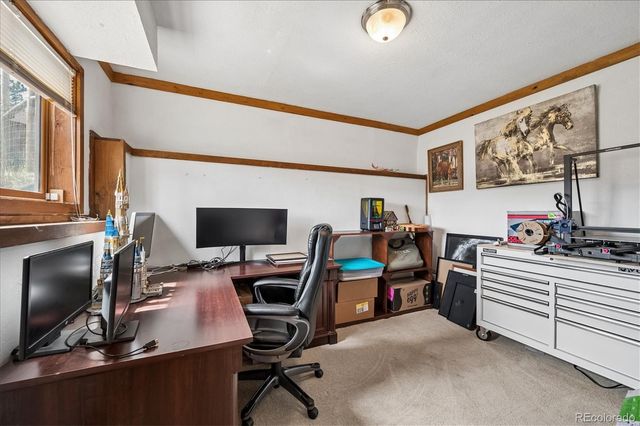 175 Blackbird Drive, Bailey, CO 80421