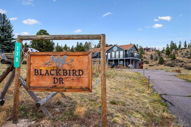 175 Blackbird Drive, Bailey, CO 80421