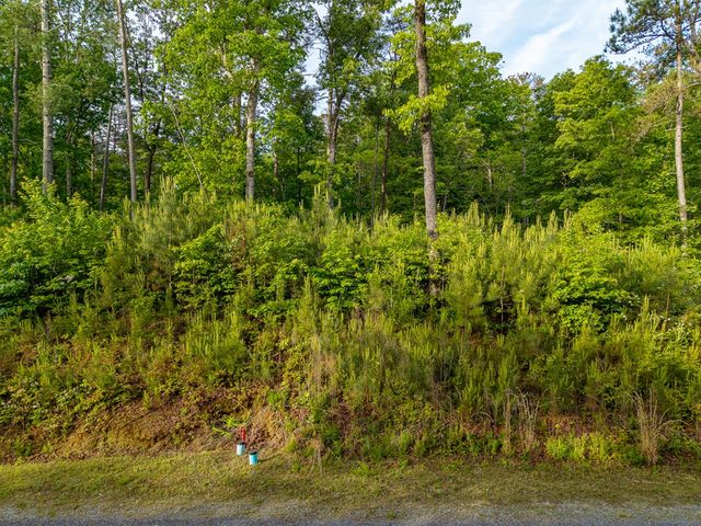 Lt 45 Hilton Drive, Ellijay, GA 30540