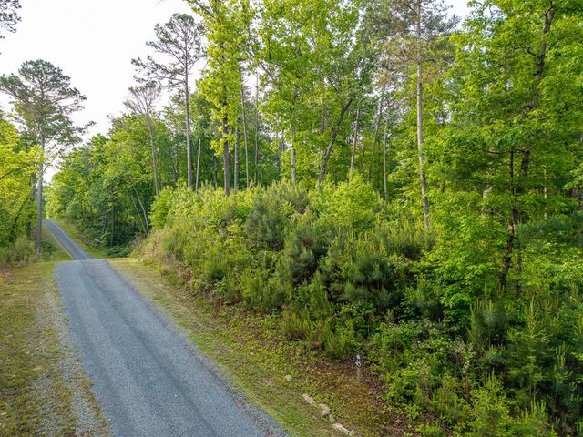 Lt 45 Hilton Drive, Ellijay, GA 30540
