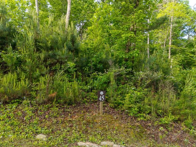 Lt 45 Hilton Drive, Ellijay, GA 30540