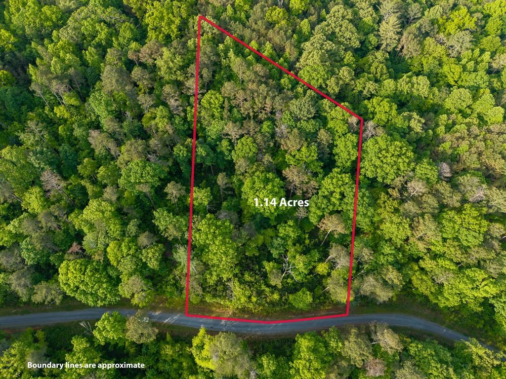 Lt 45 Hilton Drive, Ellijay, GA 30540