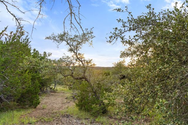 000 Mirela Ann RD, Dripping Springs, TX 78620