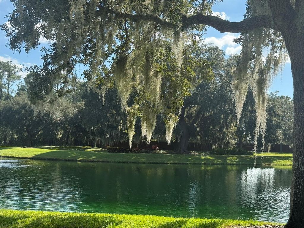 Image 76 of property listing at 10484 WISCANE AVENUE, Orlando, FL 32836