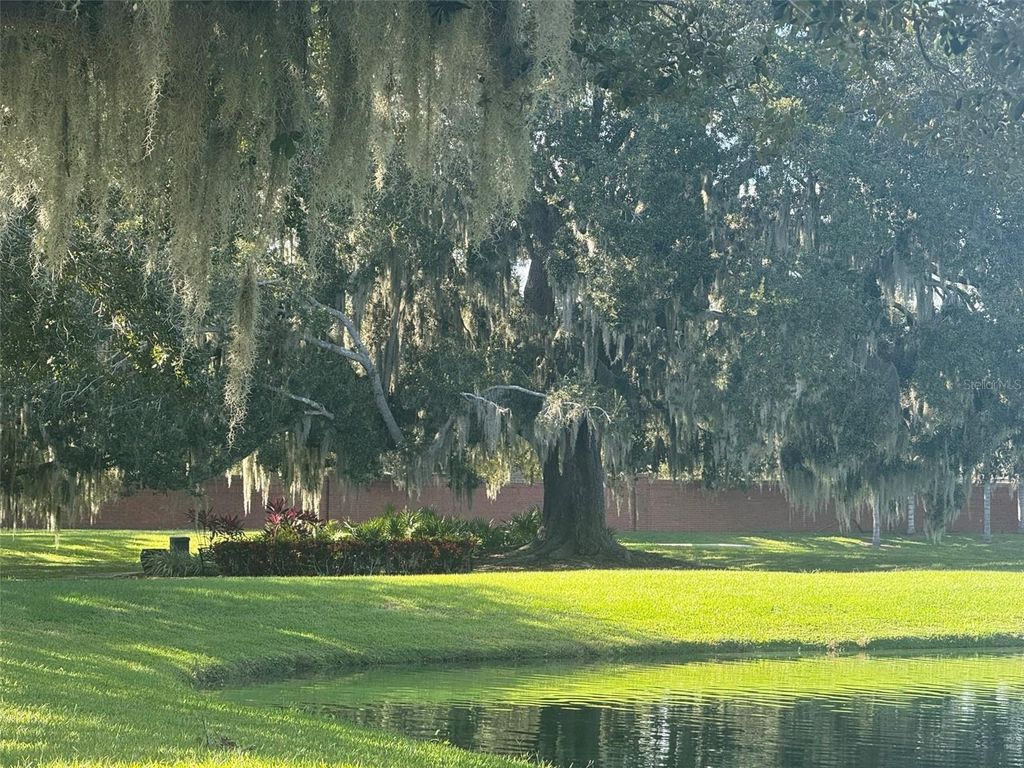 Image 77 of property listing at 10484 WISCANE AVENUE, Orlando, FL 32836