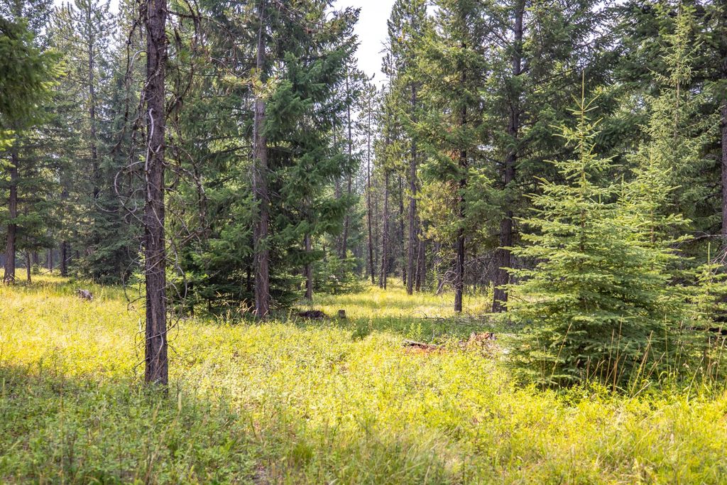 Lot 2 Fortine Creek Road, Trego, MT 59934 photo 5