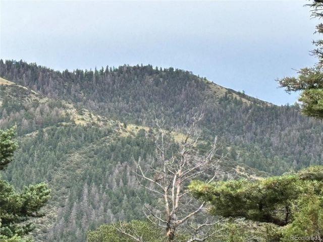 00 Sesame Road, Fort Garland, CO 81133