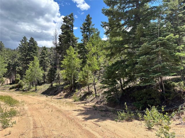 00 Sesame Road, Fort Garland, CO 81133