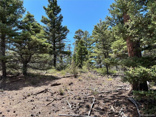 00 Sesame Road, Fort Garland, CO 81133