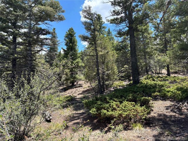 00 Sesame Road, Fort Garland, CO 81133