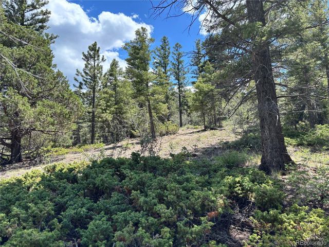 00 Sesame Road, Fort Garland, CO 81133