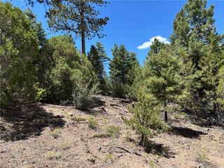 00 Sesame Road, Fort Garland, CO 81133