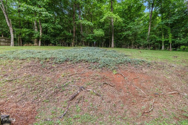 707 Lazywood Drive, Johnson City, TN 37601