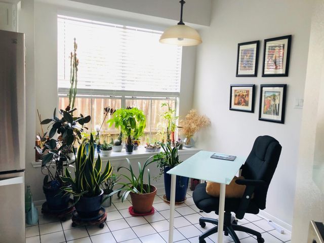 3402 Plymouth Pointe Lane, Missouri City, TX 77459