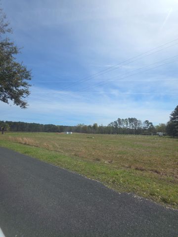 0 Hard Pinch Road, Moncks Corner, SC 29461